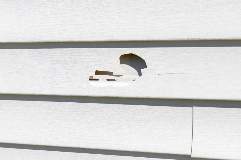 House Siding Repair